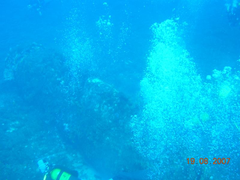 DSCN5920